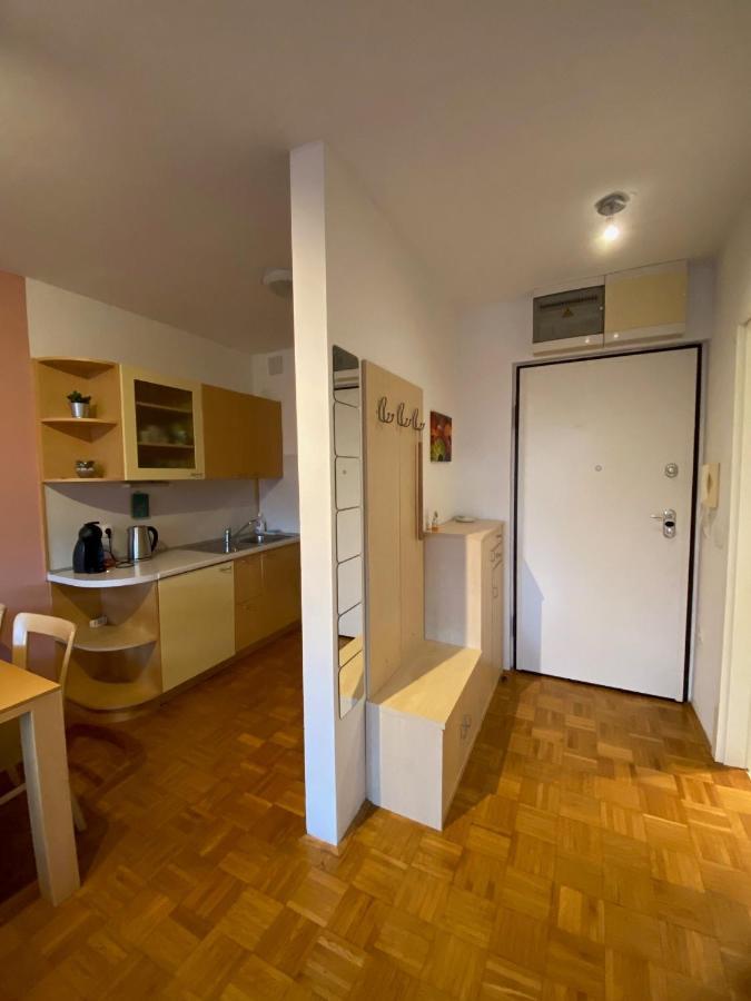 Apartma Felicija Ljubljana Bagian luar foto
