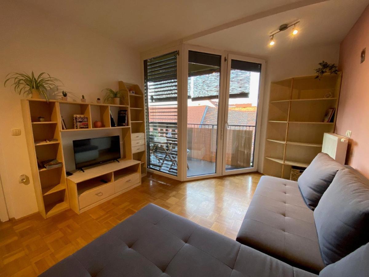 Apartma Felicija Ljubljana Bagian luar foto