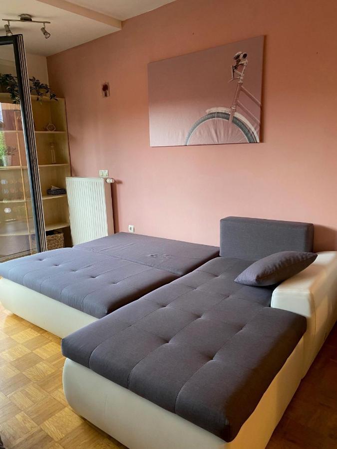 Apartma Felicija Ljubljana Bagian luar foto